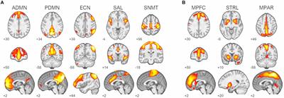 Linking resting-state network fluctuations with systems of coherent synaptic density: A multimodal fMRI and 11C-UCB-J PET study